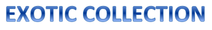 Exotic logo